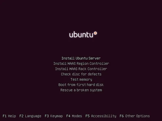 Choose to install Ubuntu Server