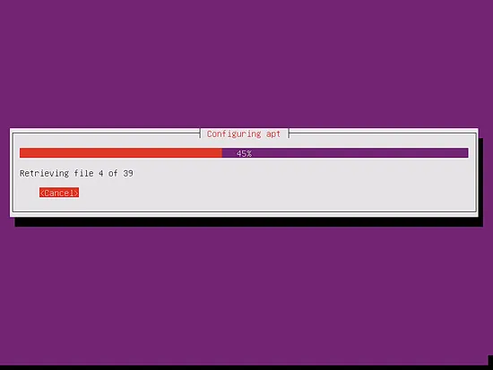 Retrieving packages from Ubuntu repository
